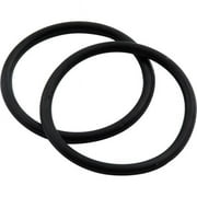 Fuel Filter O-Ring, Pack of 2