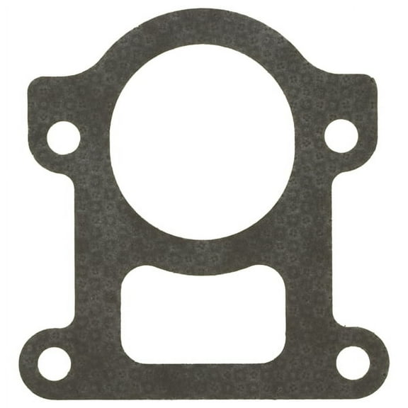 Fuel Injection Idle Air Control Valve Gasket
