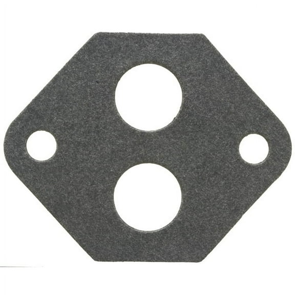 Fuel Injection Idle Air Control Valve Gasket
