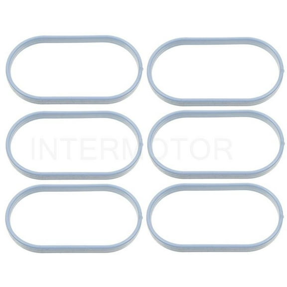 Fuel Injection Plenum Gasket