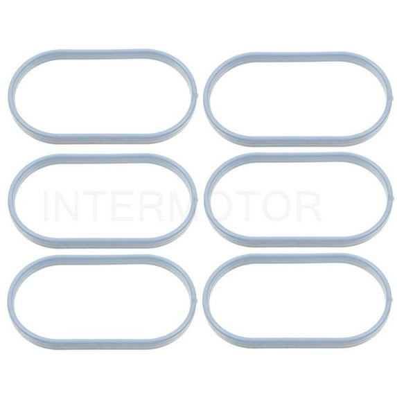 Fuel Injection Plenum Gasket