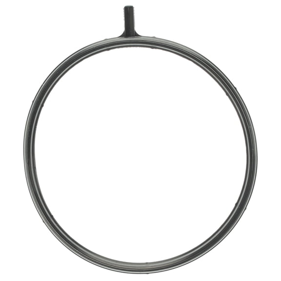 Fuel Injection Throttle B