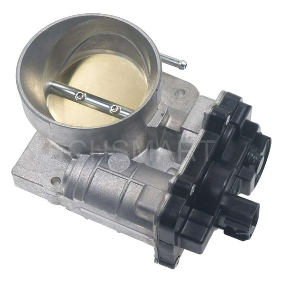 Fuel Injection Throttle Body Assembly