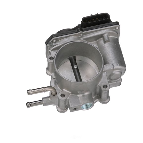 Fuel Injection Throttle Body Assembly
