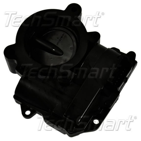 Fuel Injection Throttle Body Assembly