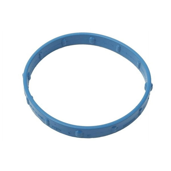 Fuel Injection Throttle Body Mounting Gasket