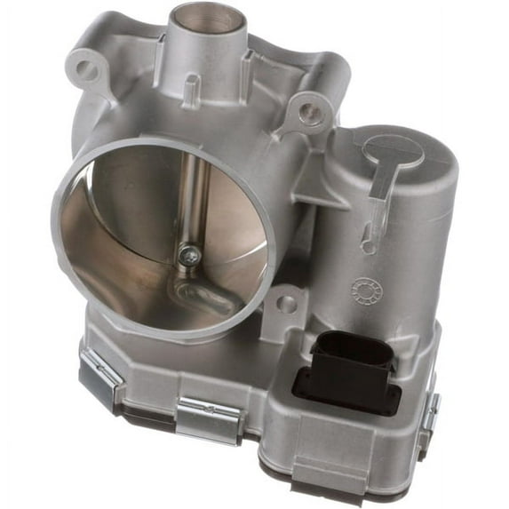 Fuel Injection Throttle Body