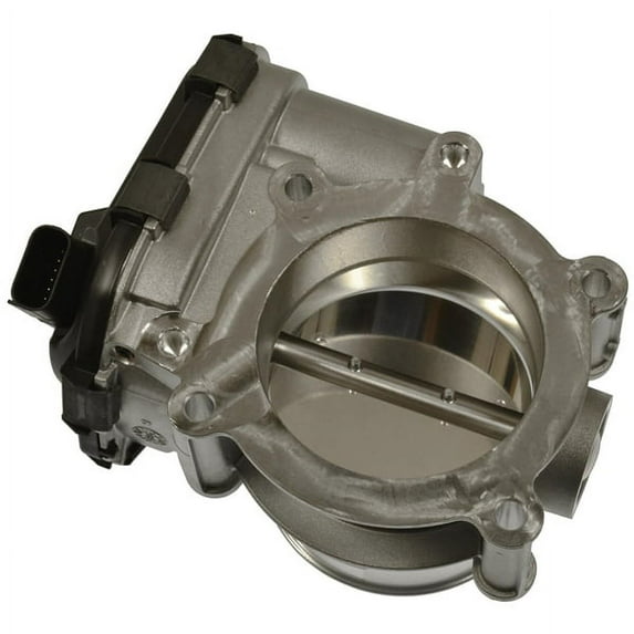 Fuel Injection Throttle Body