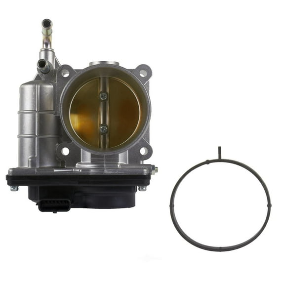 Fuel Injection Throttle Body