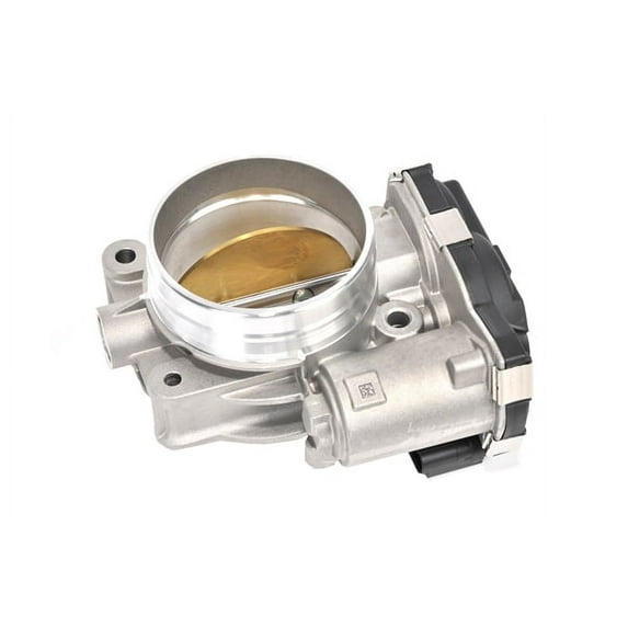 Fuel Injection Throttle Body