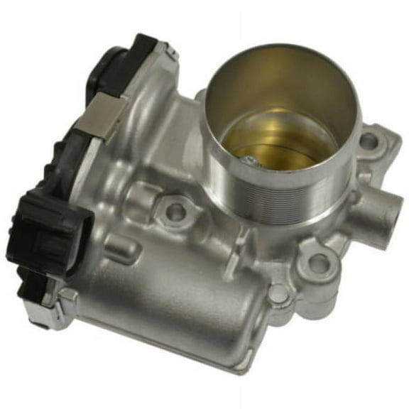 Fuel Injection Throttle Body