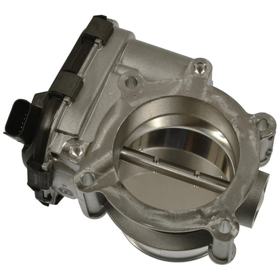 Fuel Injection Throttle Body