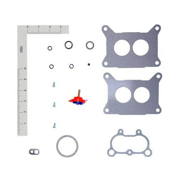 Fuel Injector Repair Kit - Compatible with 1981 - 1986 Ford LTD 1982 1983 1984 1985