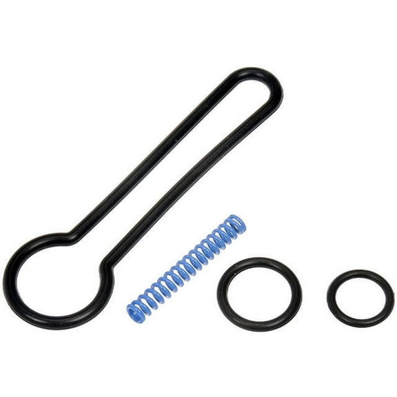 Fuel Pressure Regulator Service Kit - Compatible with 2003 - 2007 Ford F-250 Super Duty 6.0L V8 2004 2005 2006