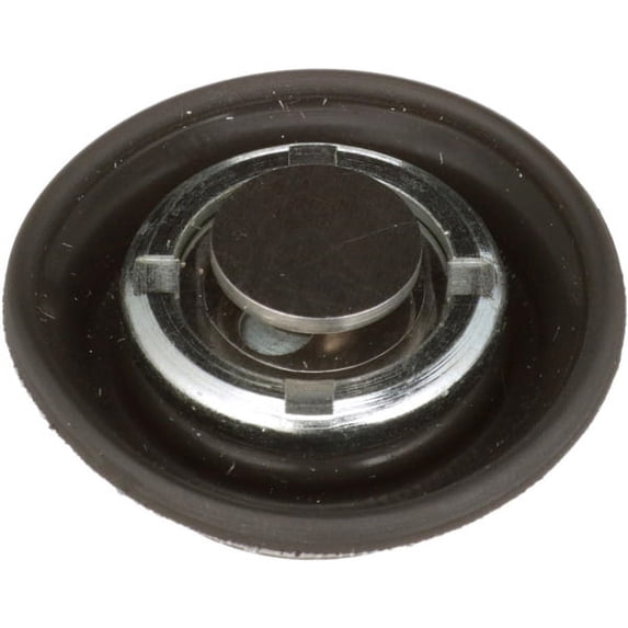 Fuel Pressure Regulator