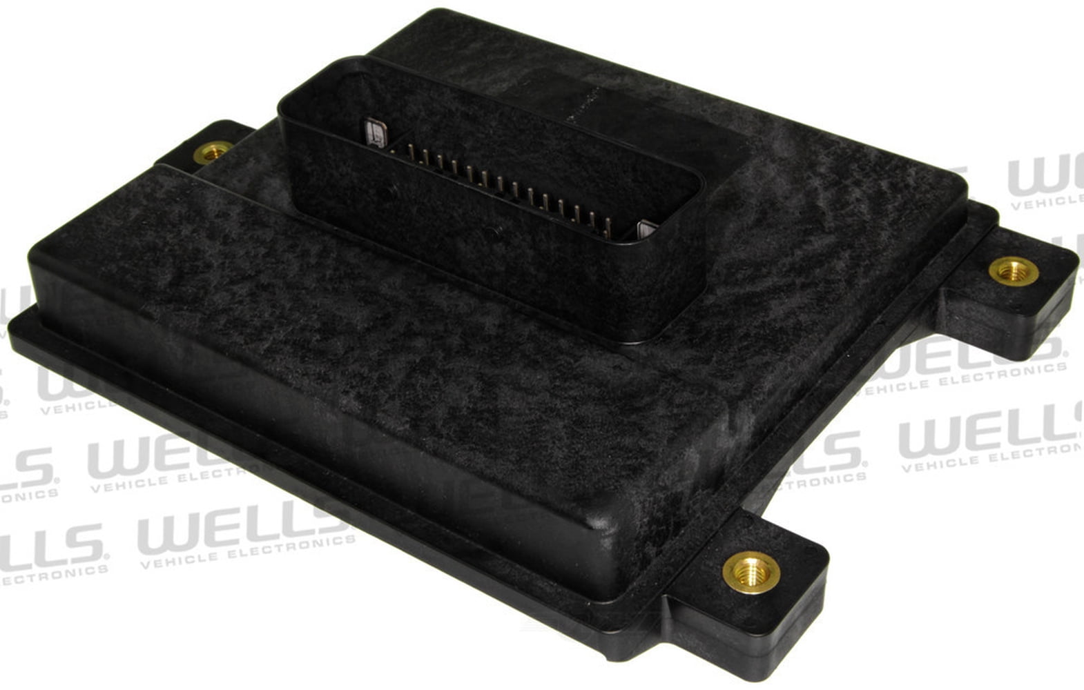 Fuel Pump Driver Module