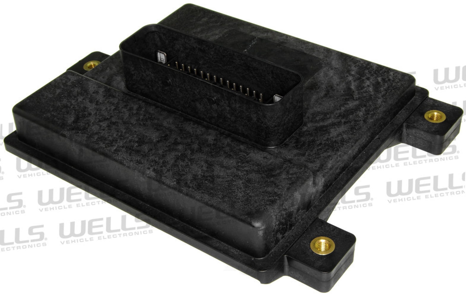 Fuel Pump Driver Module