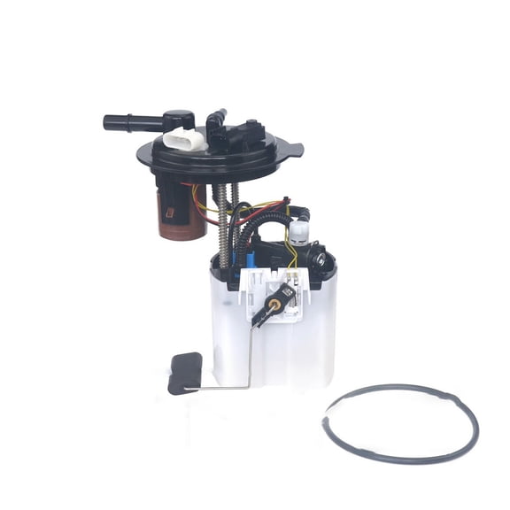 Fuel Pump Module Assembly Compatible with 2009-2017 Buick Enclave Chevrolet Traverse GMC Acadia GMC Acadia Limited Saturn Outlook 3.6L V6 19207494 19370465 Direct Fit Replacement