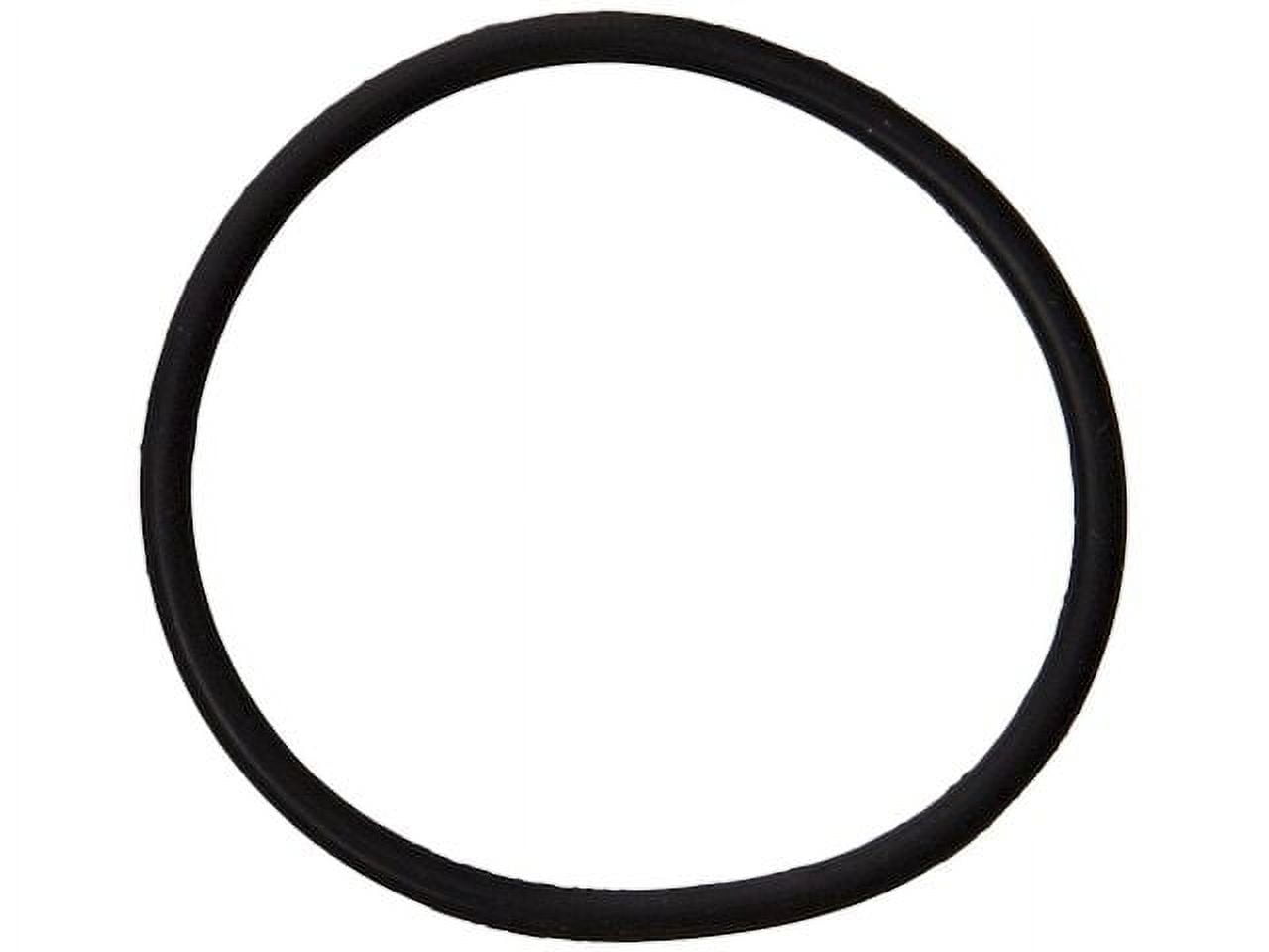 Fuel Pump ORing Compatible with 2006 2020 Hyundai Sonata 2007 2008