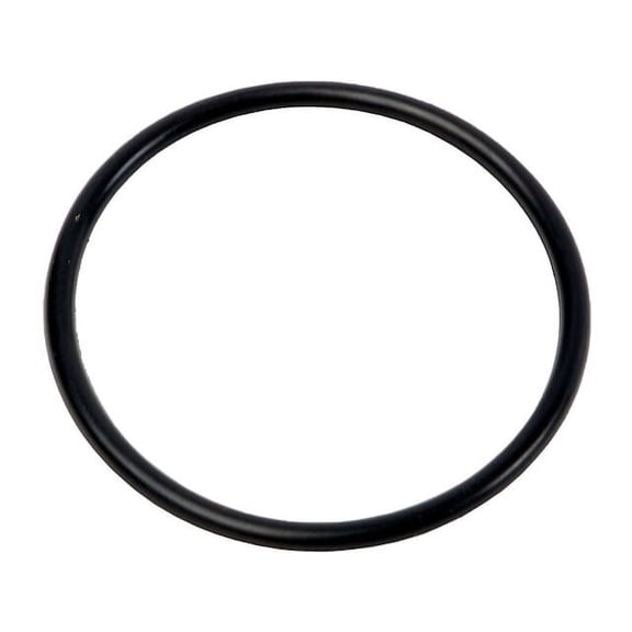 Fuel Pump O-Ring - Compatible with 2010 - 2016 Cadillac SRX 3.0L V6 - AC Delco
