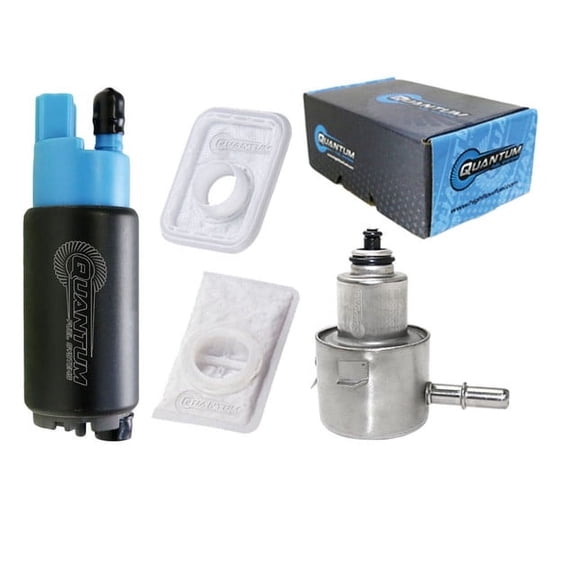Fuel Pump w/ Regulator, Strainer for Sea-Doo PWC - OEM Replacement, HFP-382-SDR QFS