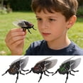 thumbnail image 1 of Fufafayo 3Pcs Realistic InsectToysFor Educational Play, Interactive Bug Collection, Plastic Insect Models for Biology Learning, Indoor Outdoor ScienceToysForKidsClassroom Party Decor, 1 of 9