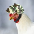 thumbnail image 1 of Fufafayo Chicken Helmet for Pet Protection, Adjustable Hen Hat Bird Head Cover, Poultry Safety Gear for Small Animals Chicken Bird Duck, 1 of 4
