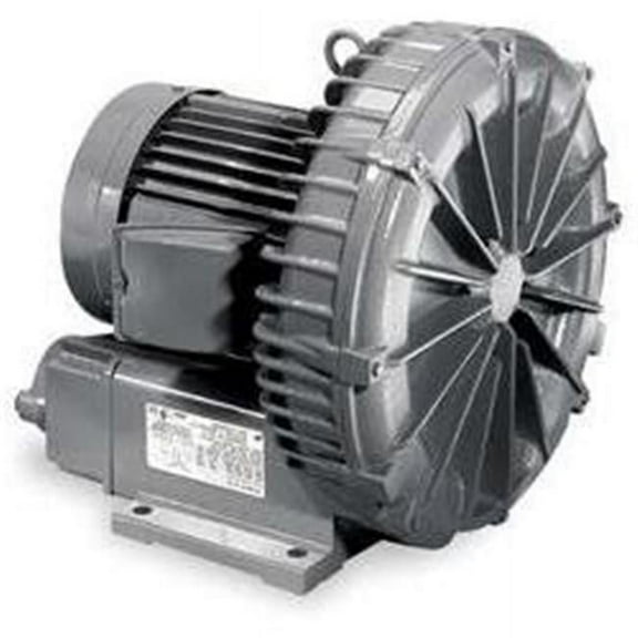 Fuji Electric of America 2.5 HP Single Phase Regenerative Blower