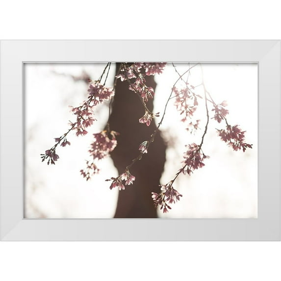 Fujii, Tsuneya 24x17 White Modern Wood Framed Museum Art Print Titled - Sakura
