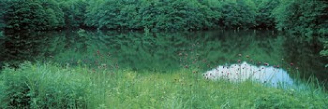 Fukushima Japan Canvas Art - Panoramic Images (18 x 6)