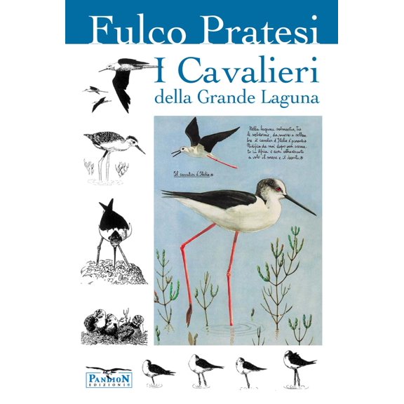 Fulco Pratesi I cavalieri della grande laguna (Paperback)