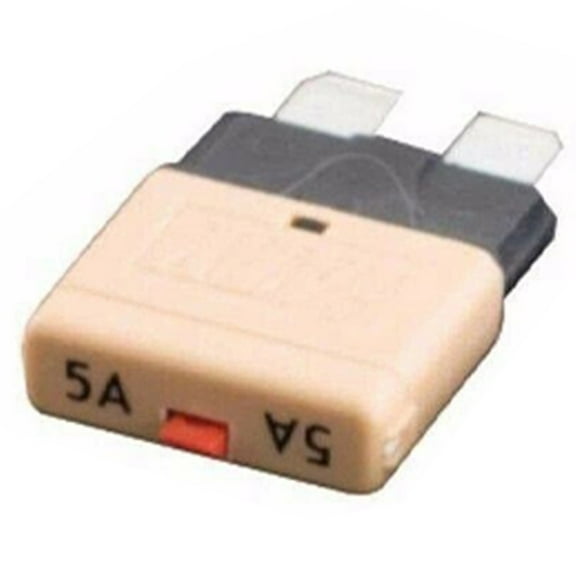 Fule 1PCS Circuit Breaker Blade Fuse 12V 24V Resettable 5-30A Marine automatic reset