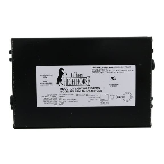 Fulham HH-ILB-UNV-100TCDS High Horse Induction Lighting System, 100W, 120-277V