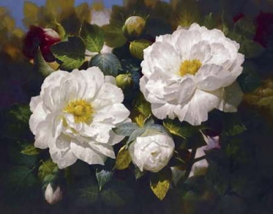 Full Blossom I Canvas Art - Bowmy (22 x 28)