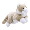 thumbnail image 1 of Full - Bodied Beige &amp; White Cat, (Hardcover), 1 of 1