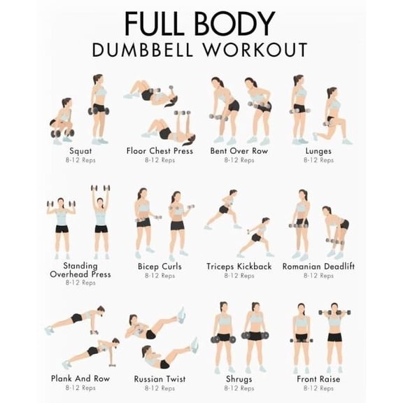 Full Body Dumbbell Workout Poster Weight Training Exercise Chart