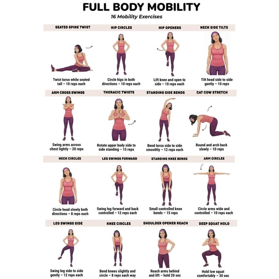 Full Body Exercise Chart, Exercise Poster, Daily Exercise Routine Poster, Stretching And Exercise Chart, Fitness Exercise Poster