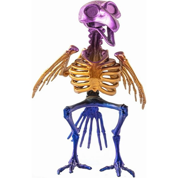 Full Body Realistic Bird Skeleton Decoration, Halloween Vulture Skeleton Bones Props, Animal Bones Skeletons, Movable Mouth and Head Frog Skeletons for Outdoor Indoor Yard Patio Haunted House Decor