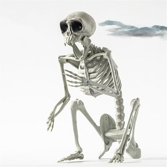 Full Body Realistic Monkey Skeleton Decoration,Halloween Animal Skeleton Bones Props, Movable Mouth and Head Monkey Skeletons for Outdoor Indoor Yard Patio Haunted House Decor