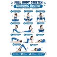 Full Body Stretch Morning Routine Poster - Walmart.com