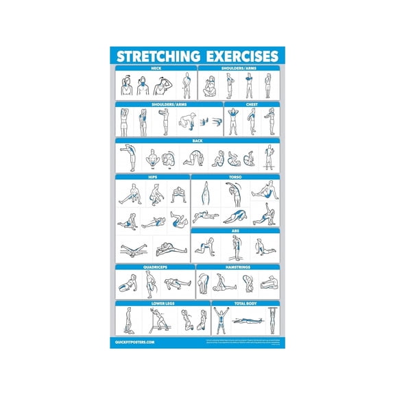 Full Body Stretching Exercises Poster Daily Routine Guide for Flexibility and Injury Prevention for Beginners Intermediate and Advanced Home Gym Wall Chart