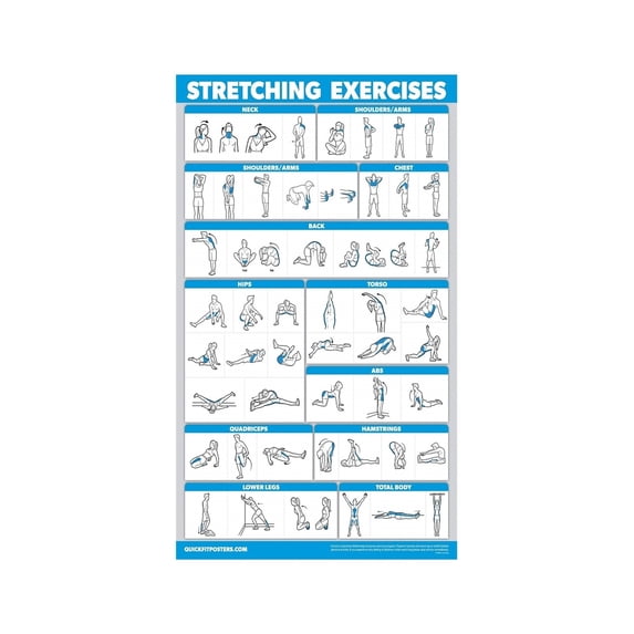 Intermediate Stretch Routine Full Body Stretching Exercises Poster Daily Routine Guide for ...