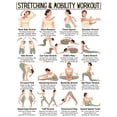 thumbnail image 1 of Full Body Stretching Exercises Poster Mobility Workout Guide Flexibility Routine Chart, 1 of 1