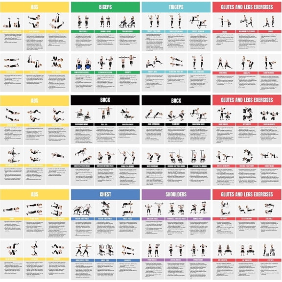 Full Body Workout Poster for Home Gym Exercise Chart for Glutes, Legs, Back & Abs Strength Training Guide with Squats, Lunges, Deadlifts, Core Exercises Bodyweight & Dumbbell Training Guide