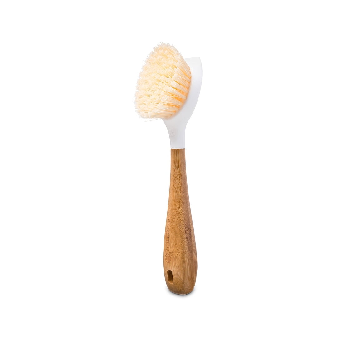 Guay Clean Kitchen Dish Brush Set with Handle and Scrapper – 4pc Brushes  Includes: Rectangular, Round, Bottle, Corner, Bonus Scrub Sponge for