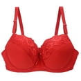 thumbnail image 1 of Full Coverage Bras for Women Women's Underwear 34/75 36/80 38/85 40/90 42/95 44/100 Bcde Cup Bra Lace Bra for Women Lingerie Plus Size Underwear, 1 of 4
