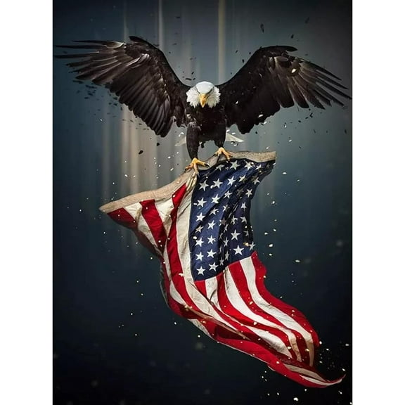 Full Drill Square 5D eagle american flag Diamond Painting cross stitch kits art Animal 3D paint by diamonds