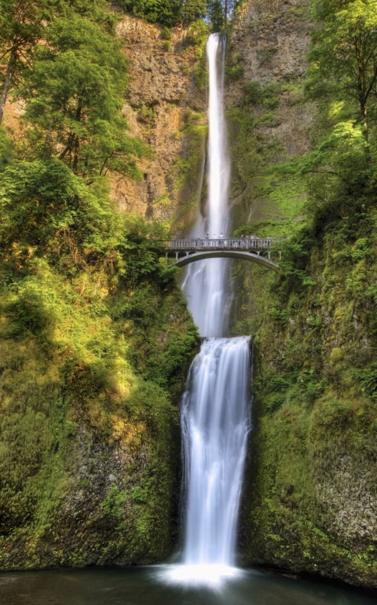 Full Height Of Multnomah Falls Oregon United States Of America Canvas Art - Philippe Widling Design Pics (24 x 38)