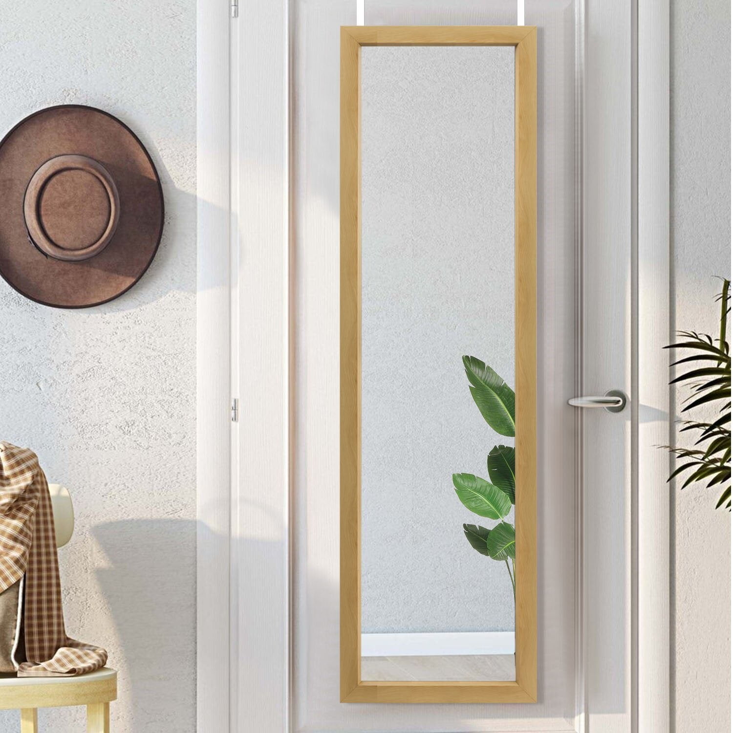 Full Length Hanging Door Mirror