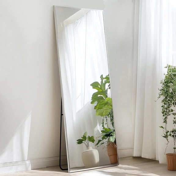 Full Length Standing Mirror 56 in L x 16 in W Silver Aluminum Frame